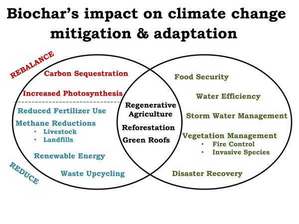 mitigation&adaptation.jpg