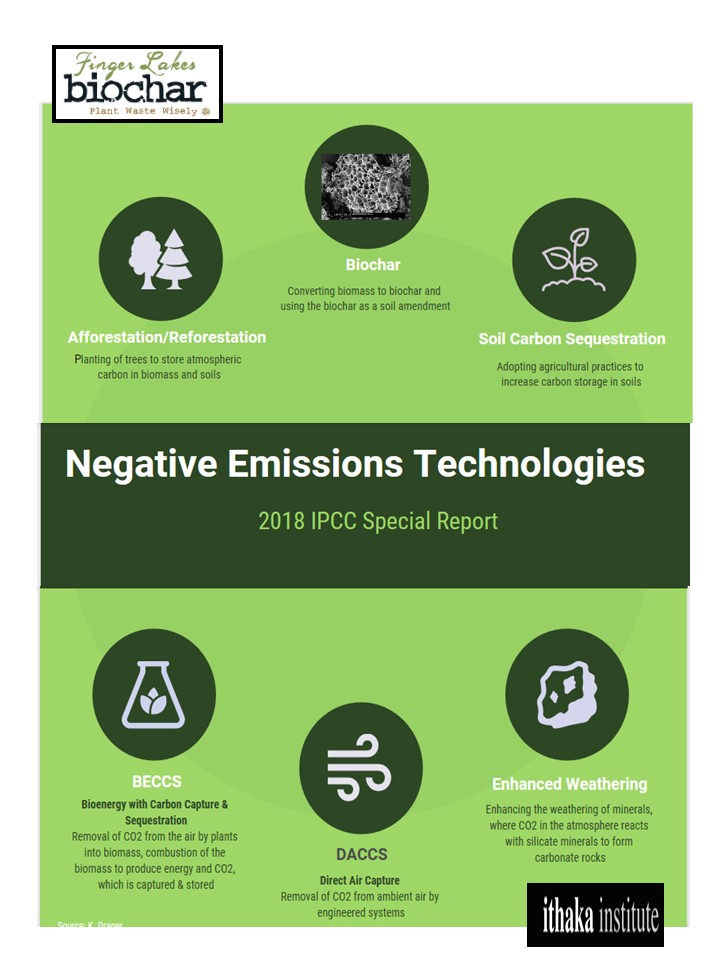 nets-biochar2.jpg