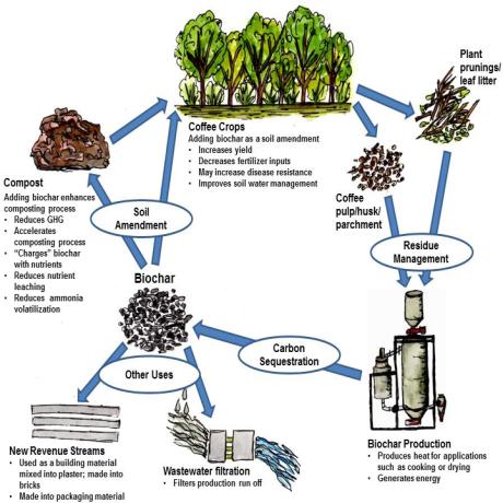 image:How Biochar Can Improve Sustainability for Coffee Cultivation and Processing