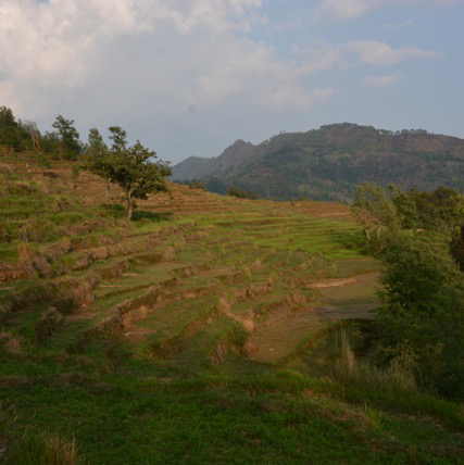 image:Carbon sequestration to rejuvenate land, water and economy in Nepal