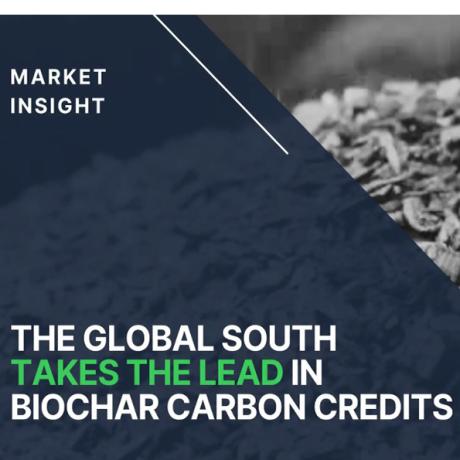 image:Does Climate Marketing Kill Biochar?